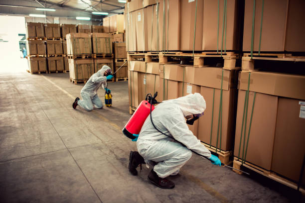 Best Pest Control Near Me  in Maple Park, IL