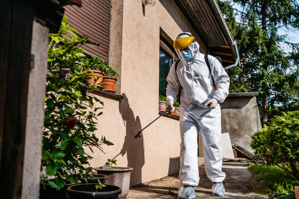 Wasp Removal Services in Maple Park, IL