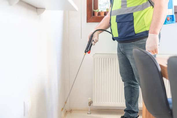 Best Rat Extermination Near Me  in Maple Park, IL
