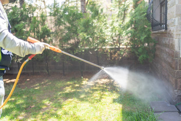 Best Residential Pest Control  in Maple Park, IL