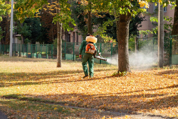 Best Affordable Pest Control Services  in Maple Park, IL