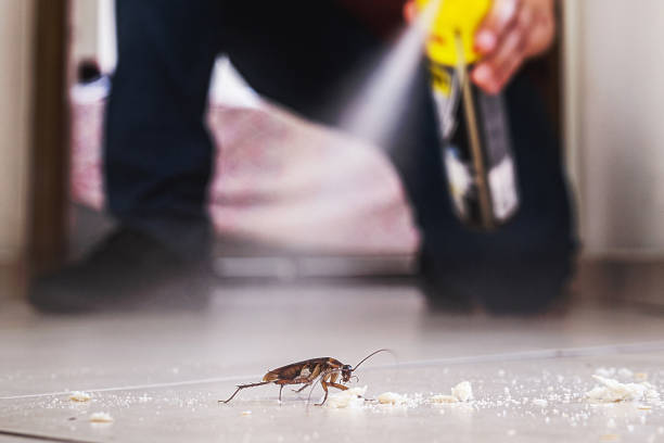 Best Pest Removal Services  in Maple Park, IL